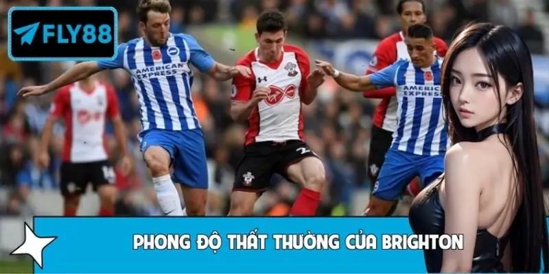 Phân Tích Phong Độ Thất Thường Của Brighton - Ẩn Số Cần Giải