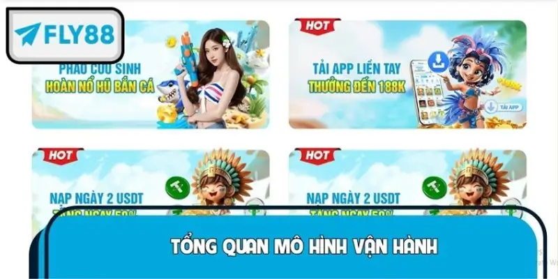 Tổng quan mô hình vận hành