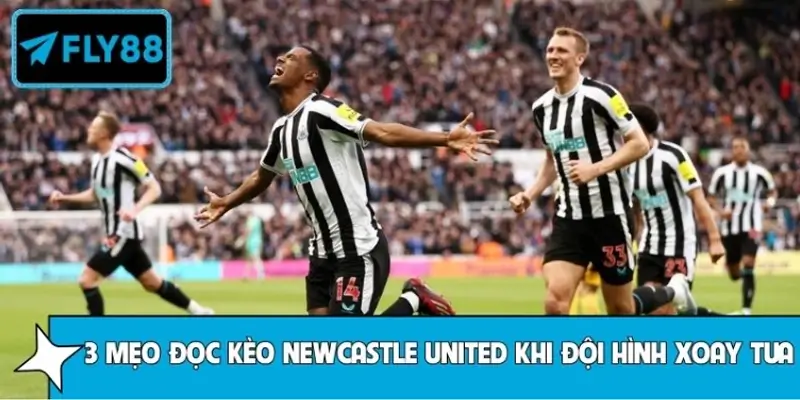Top 3 mẹo đọc kèo Newcastle United khi đội hình xoay tua
